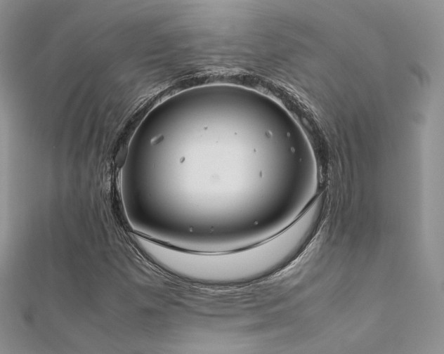 X0000112411257200908141353