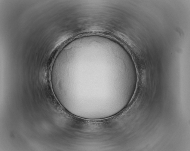 X0000112411258200908141353