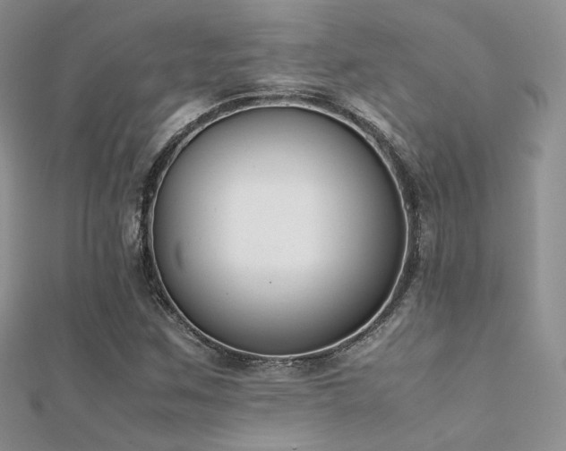 X0000112411259200908141353