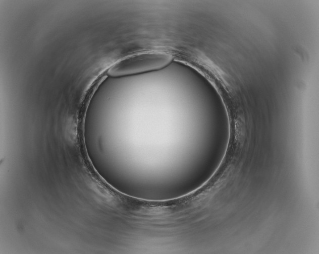 X0000112411260200908141353