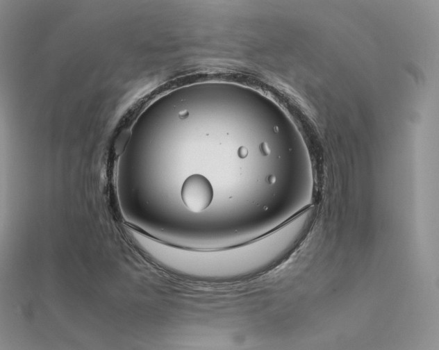X0000112411261200908141353