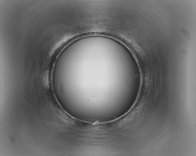 X0000112411262200908141353