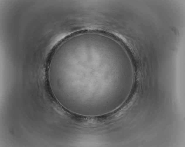 X0000112411263200908141353