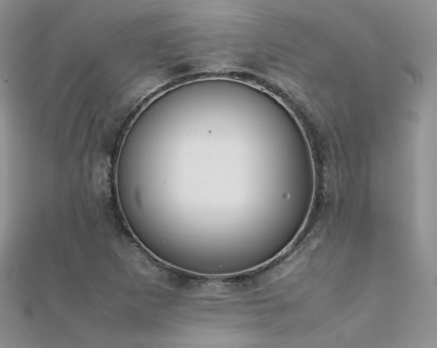X0000112411265200908141353