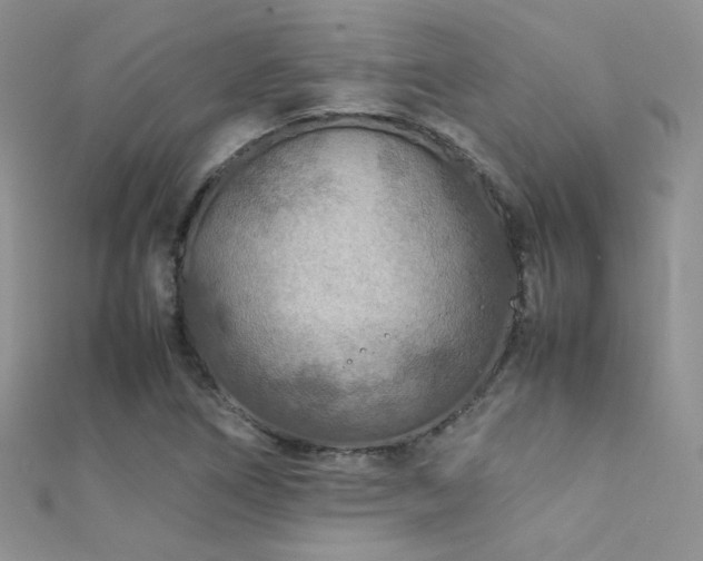 X0000112411266200908141353