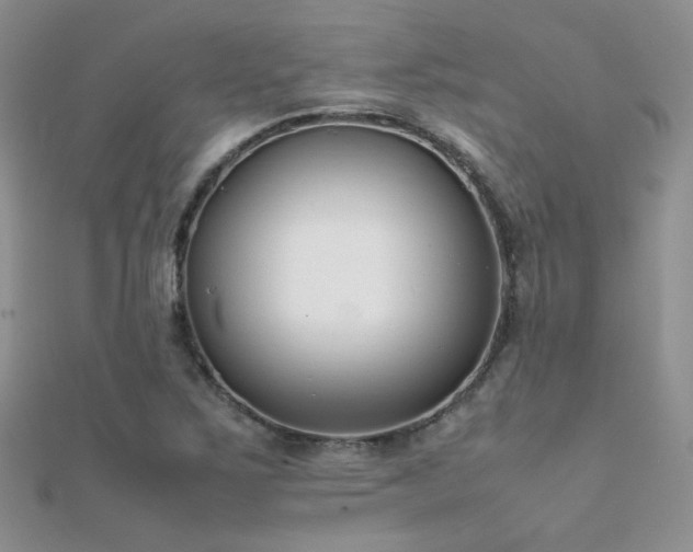 X0000112411267200908141353