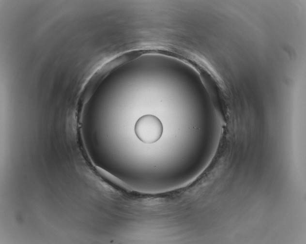X0000112411268200908141353
