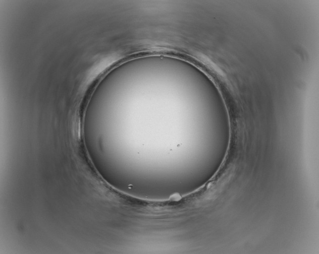 X0000112411269200908141353