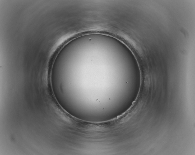 X0000112411270200908141353