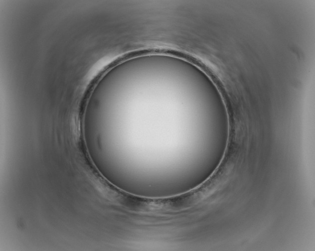 X0000112411271200908141353