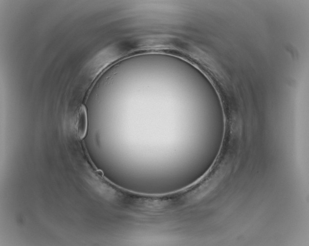 X0000112411273200908141353
