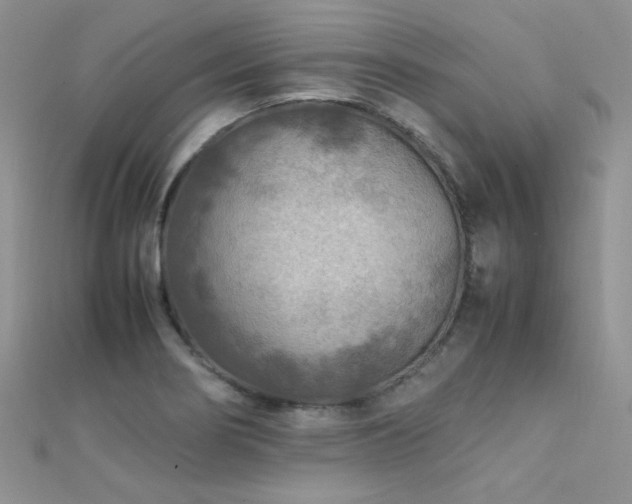 X0000112411274200908141353