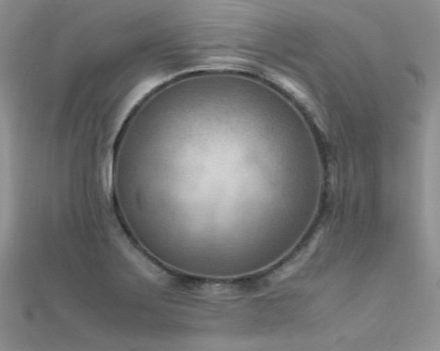 X0000112411275200908141353