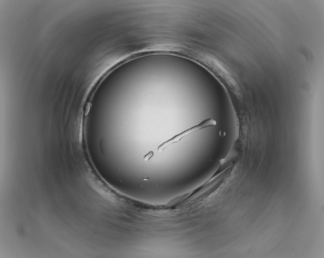 X0000112411276200908141353