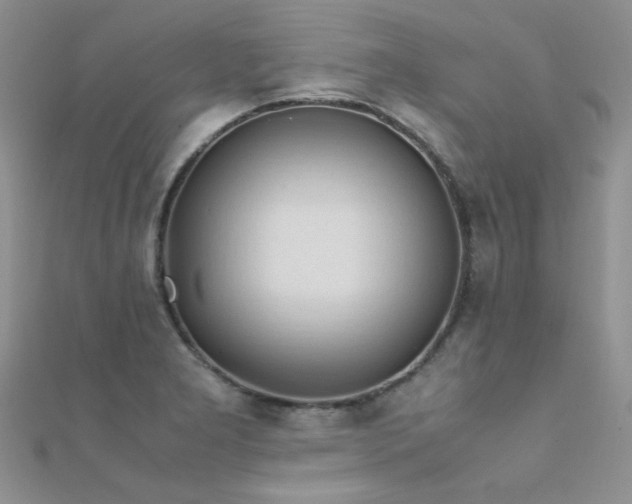 X0000112411277200908141352