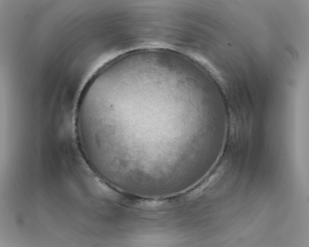 X0000112411278200908141352