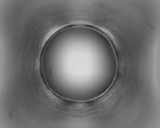 X0000112411279200908141352