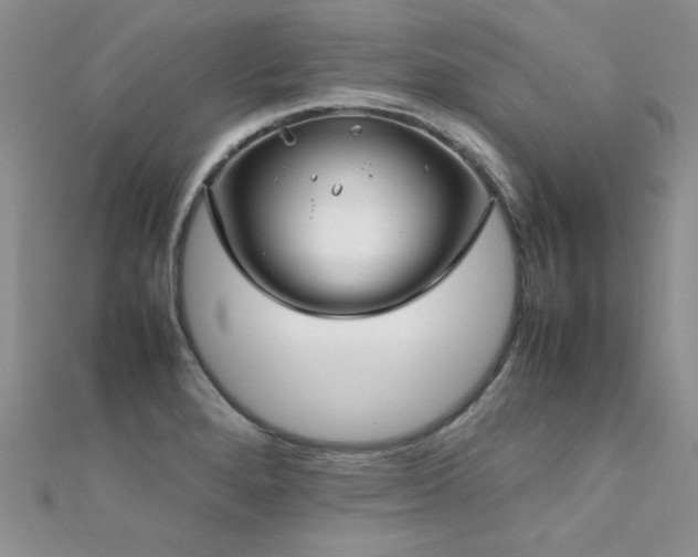 X0000112411280200908141352