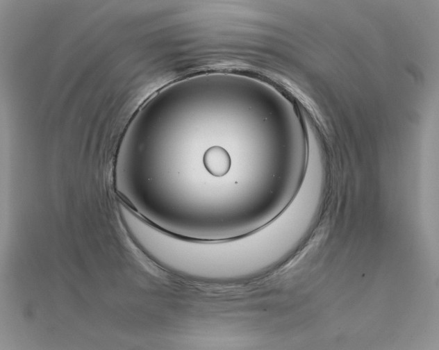 X0000112411281200908141352
