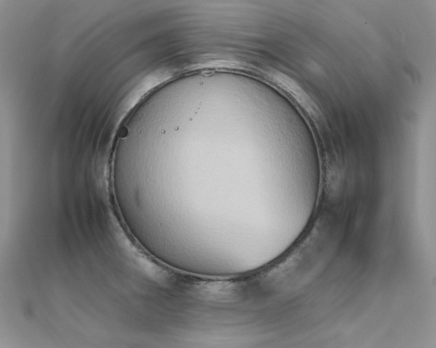 X0000112411282200908141352