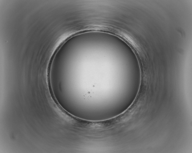 X0000112411283200908141352