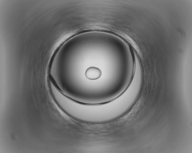 X0000112411285200908141352