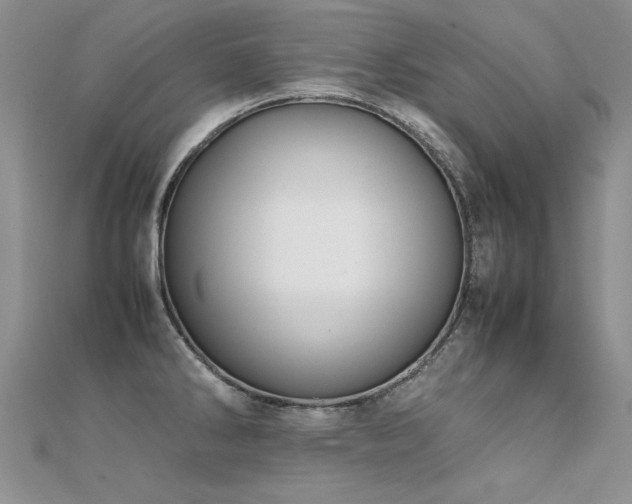 X0000112411286200908141352