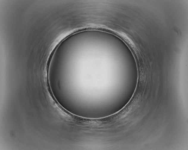 X0000112411287200908141352