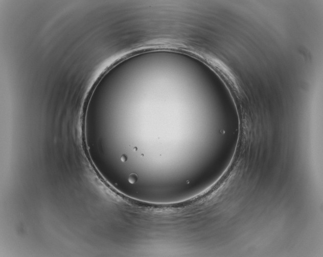 X0000112411288200908141352