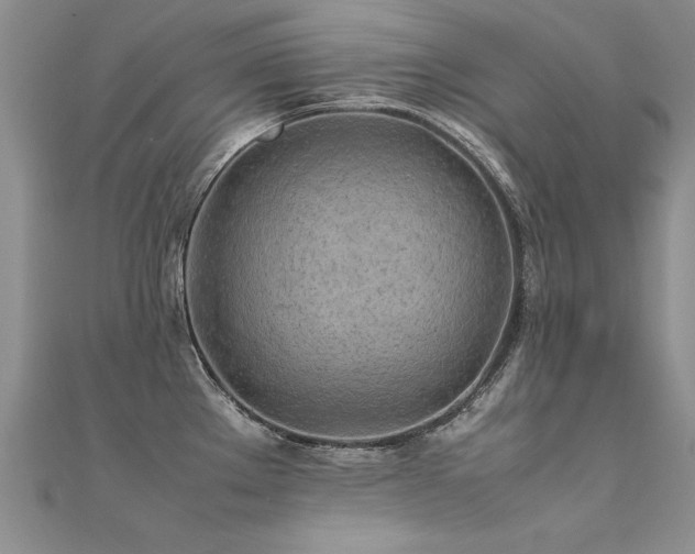 X0000112411289200908141352