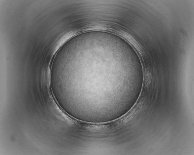 X0000112411290200908141352