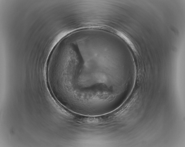 X0000112411291200908141352