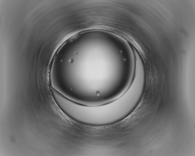X0000112411292200908141352