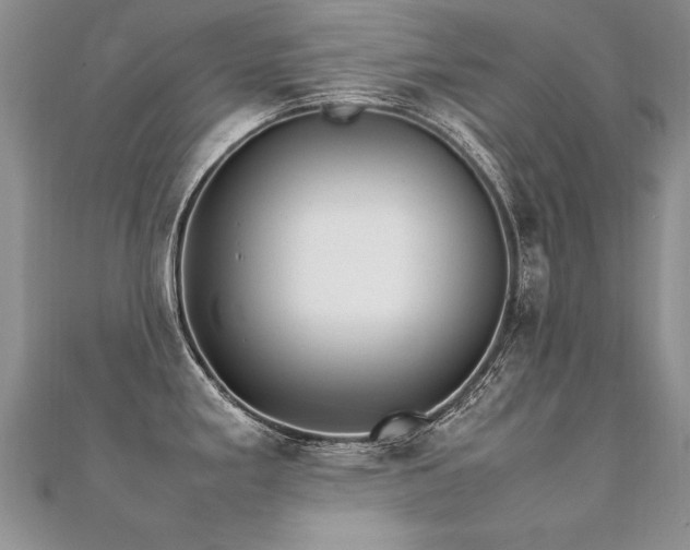 X0000112411293200908141352