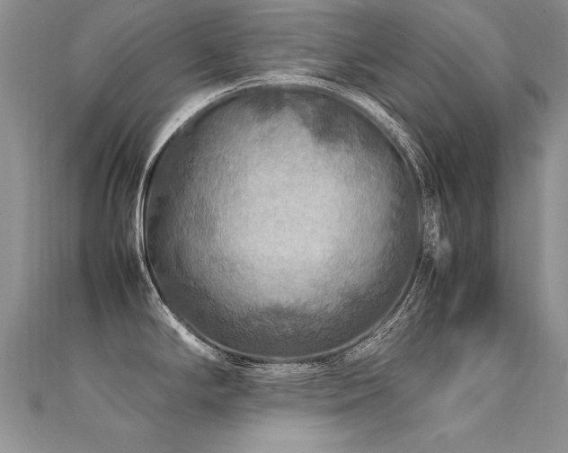 X0000112411294200908141352
