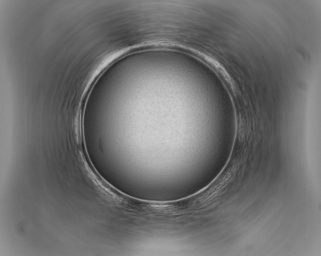 X0000112411295200908141352