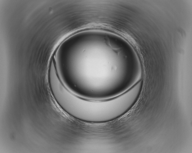 X0000112411296200908141352