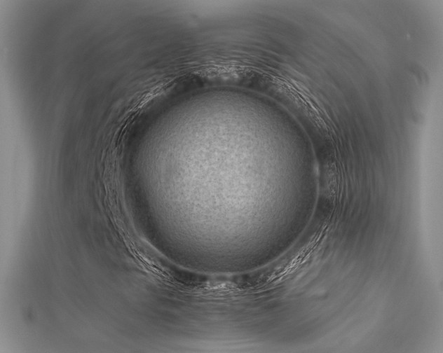 X0000112411297200908141352