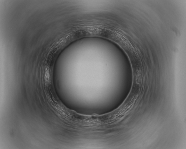X0000112411298200908141352