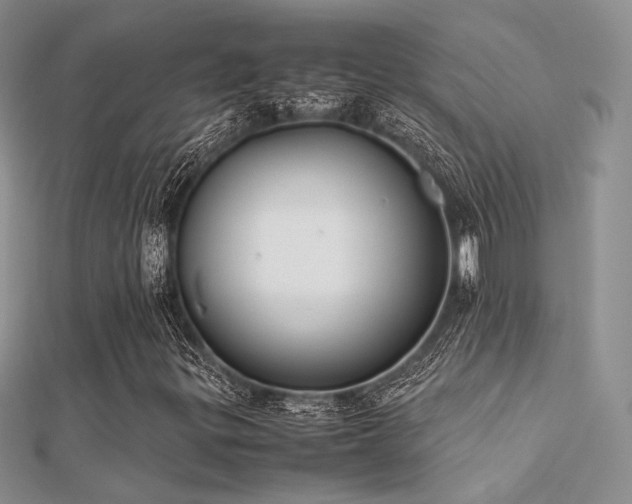 X0000112411299200908141352