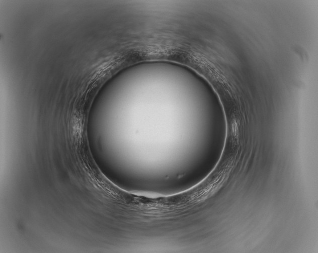 X0000112411300200908141352