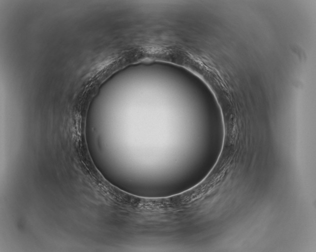 X0000112411301200908141352