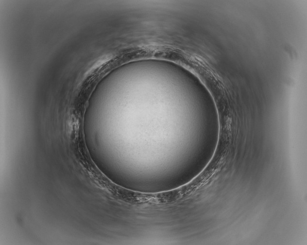 X0000112411302200908141352