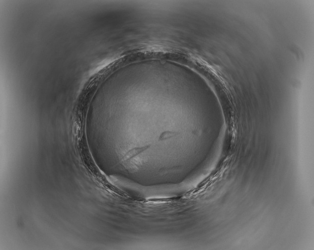 X0000112411303200908141352