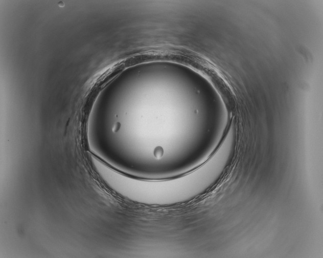 X0000112411304200908141352