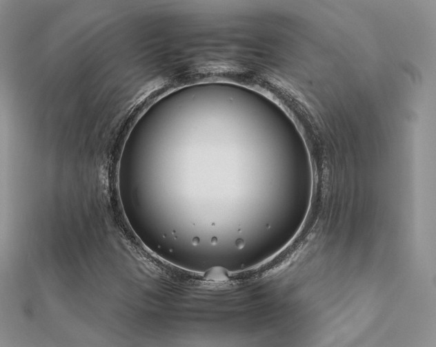 X0000112411305200908141352