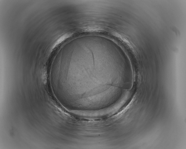 X0000112411306200908141352