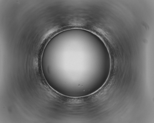 X0000112411307200908141352