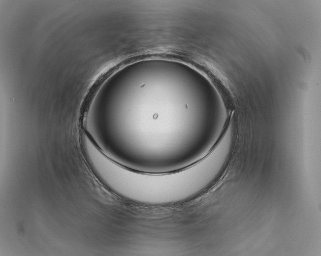 X0000112411308200908141352