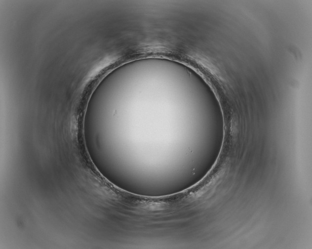 X0000112411309200908141352